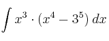 \int x^3 \cdot (x^4-3^5) \: dx