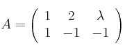 A = \left( \begin{array}{ccc} 1 & 2 & \lambda \\1 & -1 &-1 \end{array} \right)