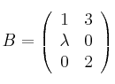 B = \left( \begin{array}{cc} 1 & 3 \\\lambda & 0 \\0 & 2 \end{array} \right)