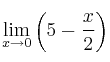 \lim\limits_{x \rightarrow 0} \left( 5 - \frac{x}{2} \right)