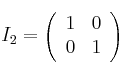 I_2=\left(
\begin{array}{cc}
        1 & 0 
    \\ 0 & 1    
\end{array}
\right)