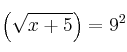 \left( \sqrt{x+5} \right) = 9^2