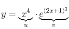 y = \underbrace{x^4}_{u} \cdot \underbrace{e^{(2x+1)^3}}_{v}