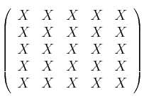 \left(
\begin{array}{ccccc}
     X & X & X & X & X
  \\X & X & X & X & X 
  \\X & X & X & X & X 
  \\X & X & X & X & X 
  \\X & X & X & X & X 
\end{array}
\right)