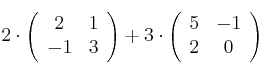 2 \cdot \left(
\begin{array}{cc}
     2 & 1
  \\ -1 & 3
\end{array}
\right) +3 \cdot \left(
\begin{array}{cc}
     5 & -1
  \\ 2 & 0
\end{array}
\right)   