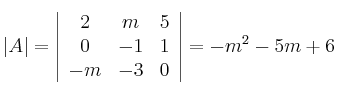 |A|=
\left|
\begin{array}{ccc}
     2 & m & 5
  \\ 0 & -1 & 1
  \\ -m & -3 & 0
\end{array}
\right| = -m^2-5m+6