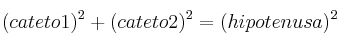 (cateto1)^2 + (cateto2)^2 = (hipotenusa)^2