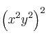 \left( x^2y^2 \right)^2